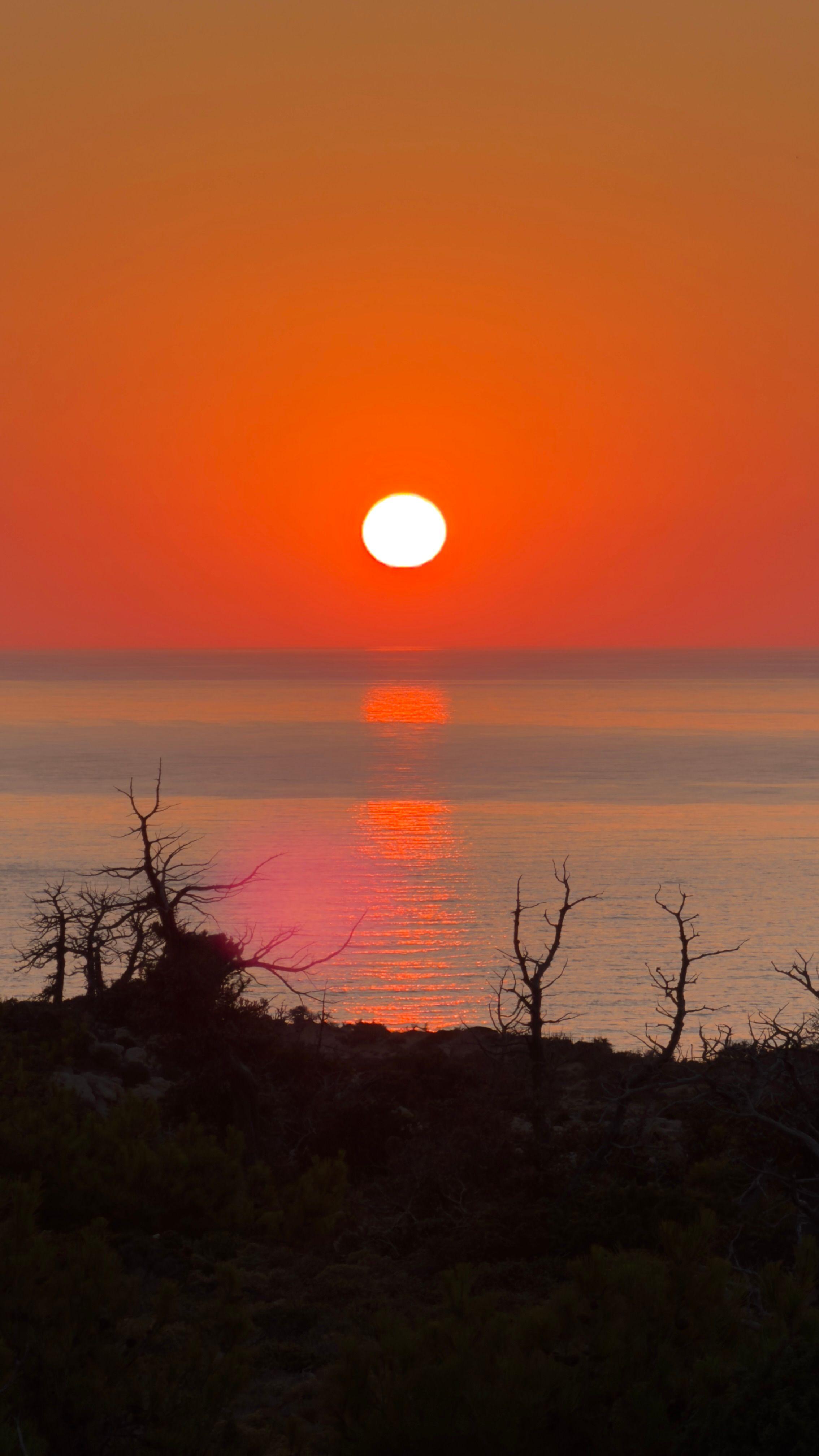 αυθόρμητη, κοινωνία, κατανάλωση, καχυποψία, απόδοση, πείσμα, ευαλωτότητα